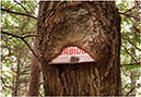 %_tempFileName090916%20TreeSign%