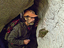 %_tempFileName100513_010%20Nest%20in%20Cave,%20Great%20Mt%